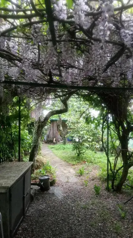 Casa Bartolacci Cozy Apartment (Near Florence City Center)
