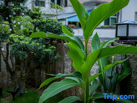 Zhufeng Jiaoyu · ZHUYU Teambuilding Swimming Pool · Light Luxury Homestay (Anji Dazhuhai)