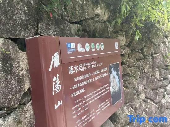Yandang Montain Quansheng Yanyu Homestay