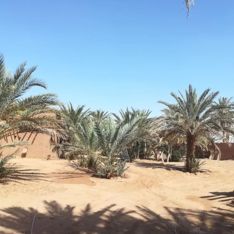 Desertbrise Camp