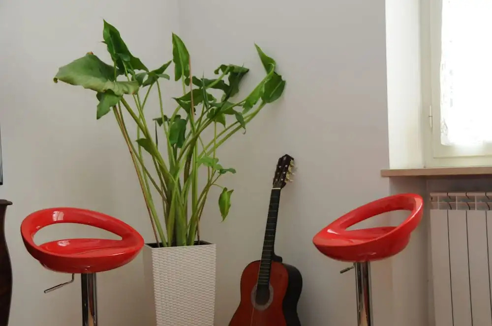Tiburtina Station Apartment