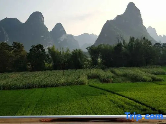 Daxin Mingshi Daoxiang Inn