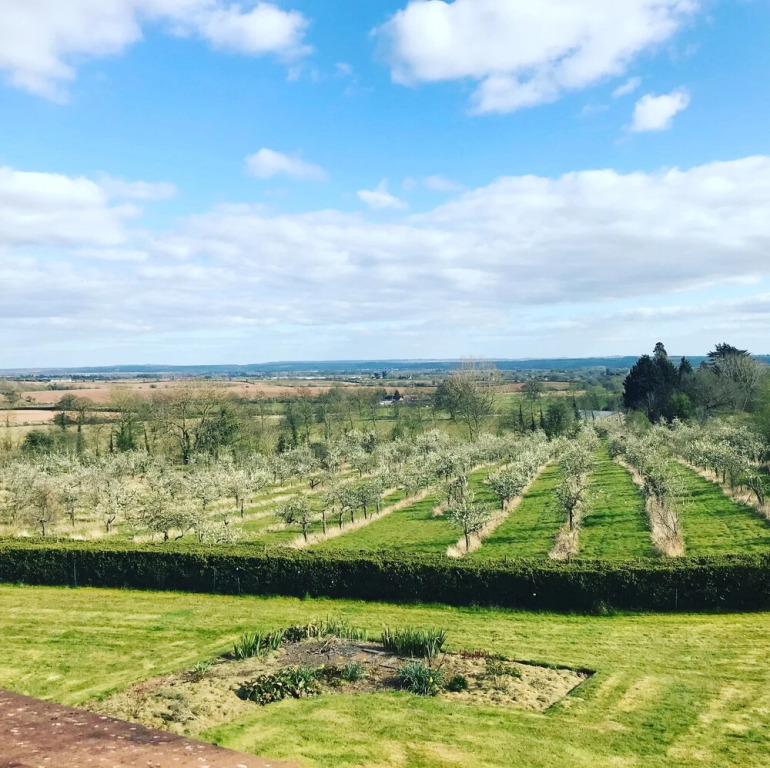 Shakespeares View