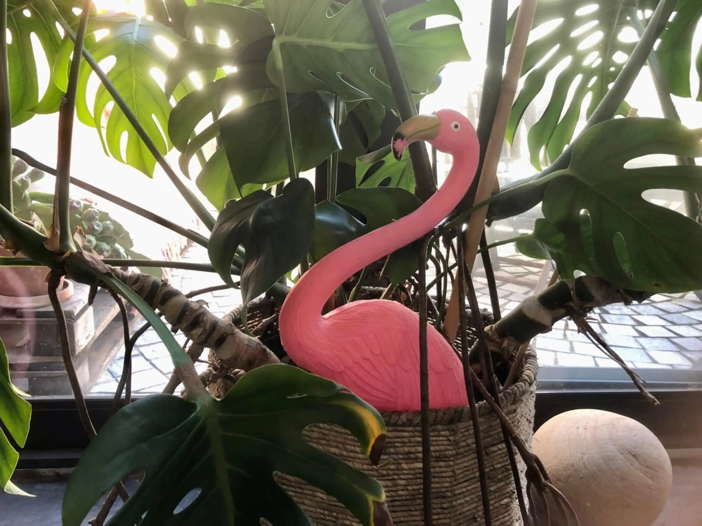 The Pink House boho apartment