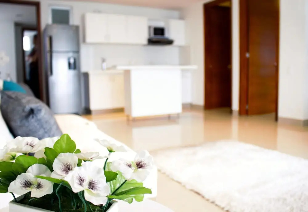 Apartamentos Palmetto - Frente al Mar