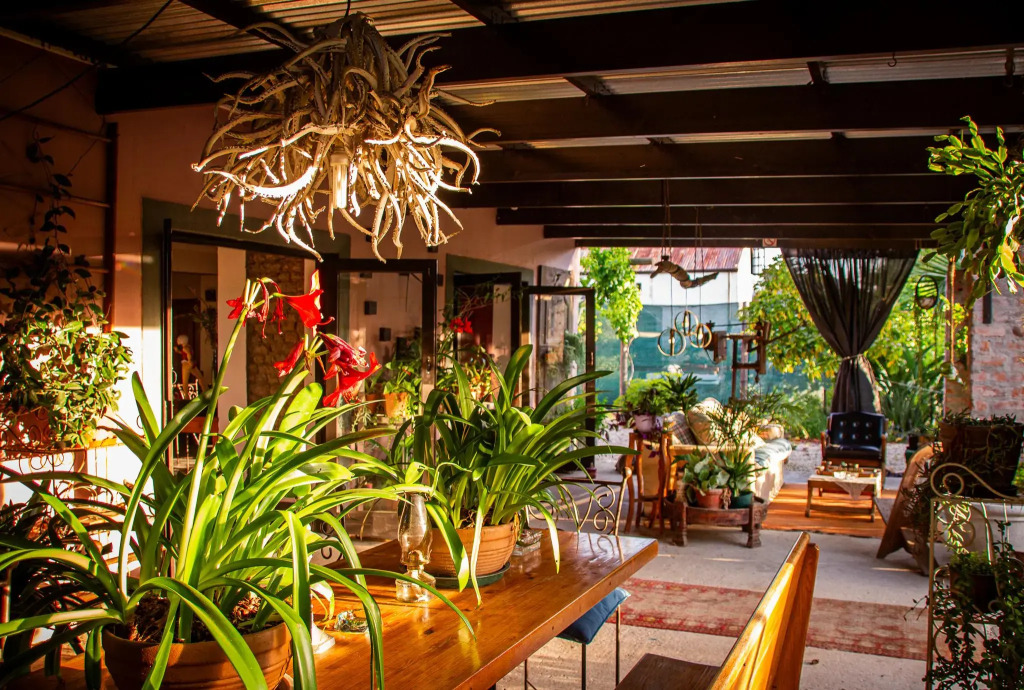 Ebonymoon Guest House