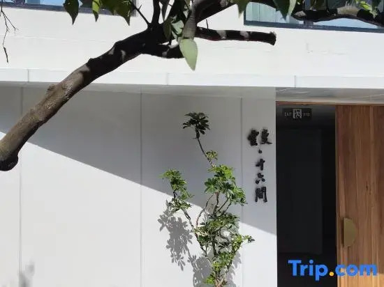 Yunman 16 (Anji Yunshang Grassland Panda Tribe Adventure Park)