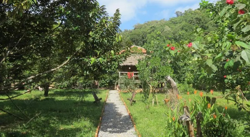 Tree Top Bungalows