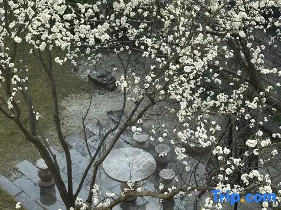 Wanfeng Linziyu KENSHO Boutique Homestay