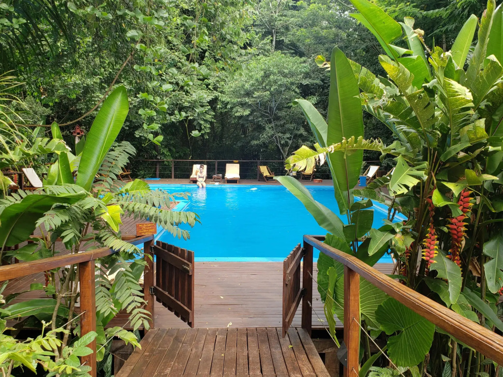 Selva de Laurel