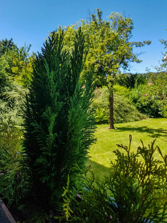 Ferienwohnung Naturnah