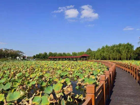 Dianshan Lake Liuxia Shiguang Homestay（Cai Bang Cun Store ）