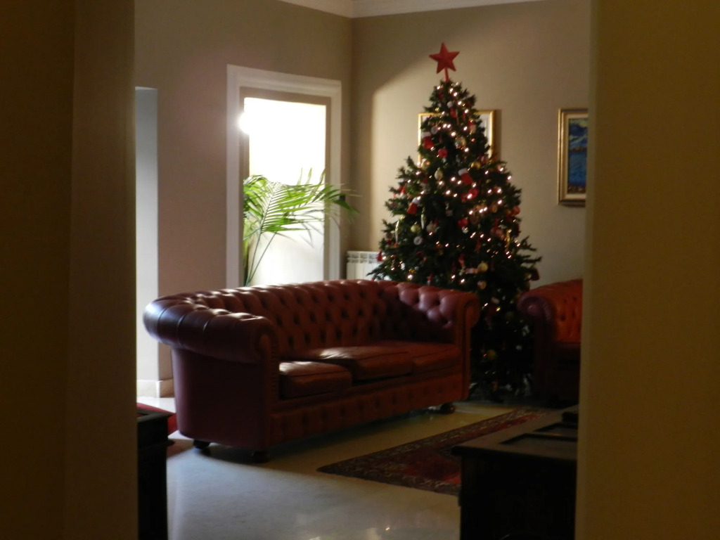 Etnea suite 668