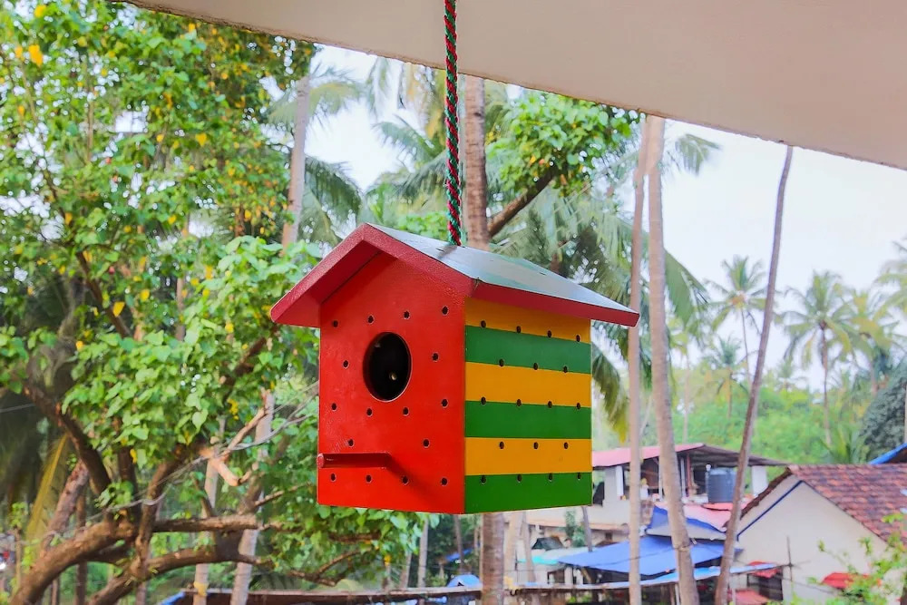 OYO Home 26703 Luxurious Studio Anjuna