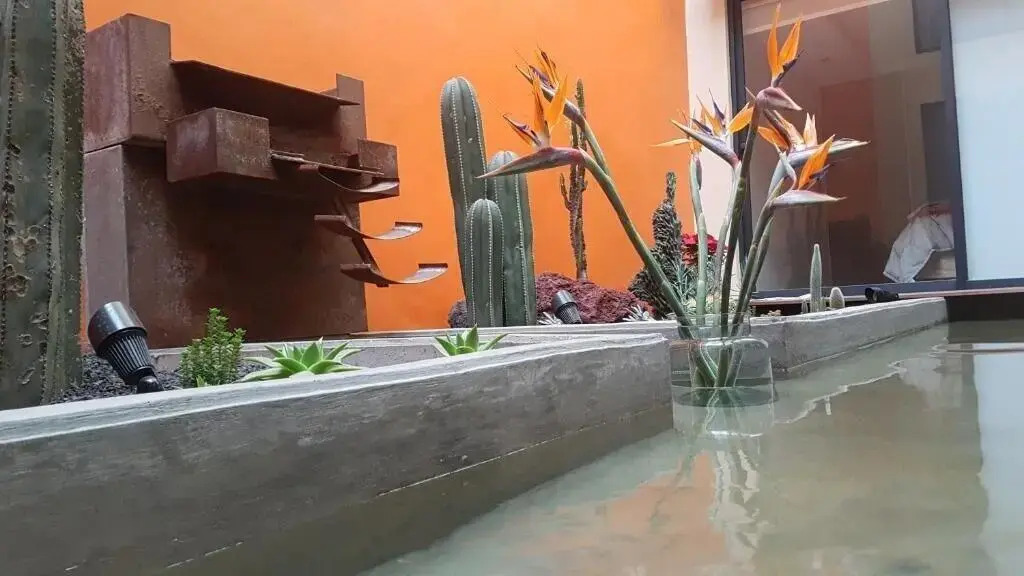 Coyoacan-inn Guesthouse