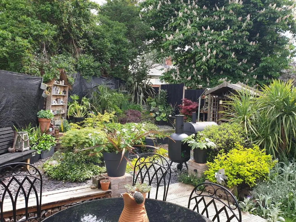 Tropical Garden Oasis Rooms