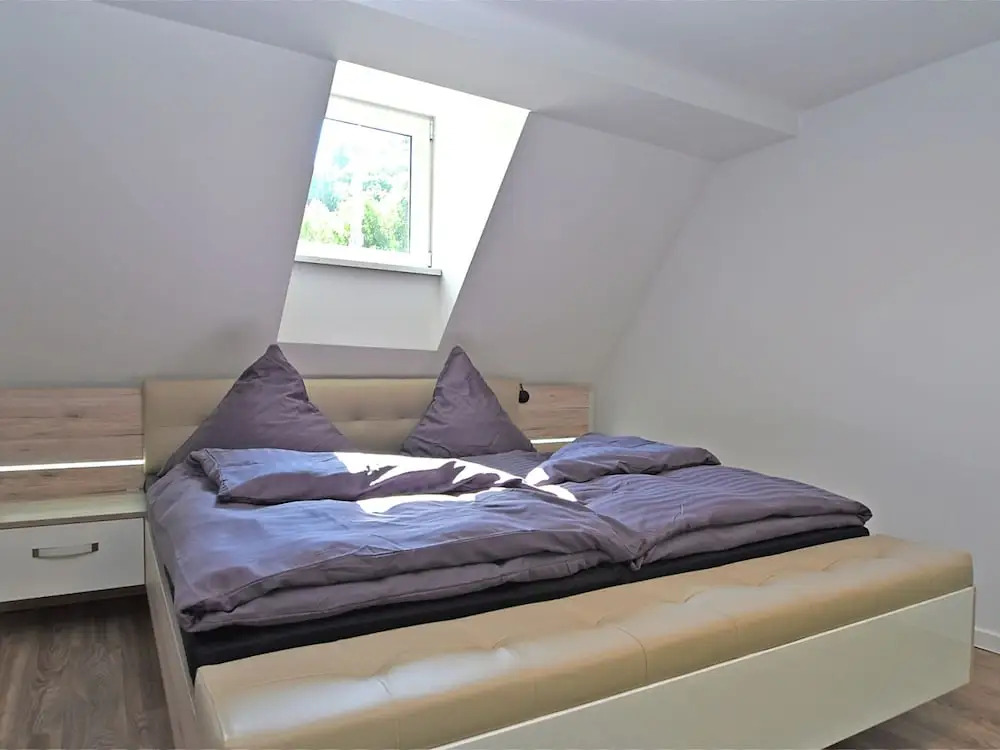 Modern and Lightly-furnished Holiday Home in Harz With Garden and Terrace