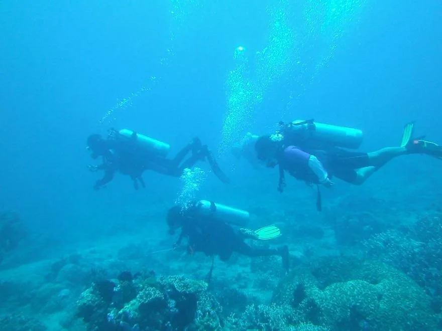 Leyte Dive Resort