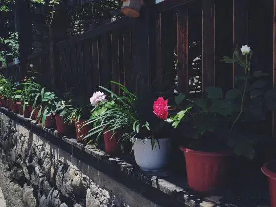 Tianyige Farmhouse