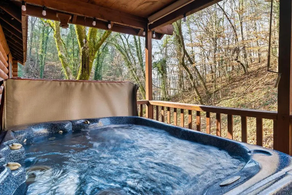 5 min to Dollywood, great location, excellent parking, hot tub, pool table