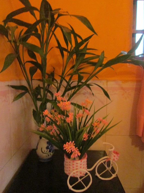 Eco-Home Siem Reap Homestay