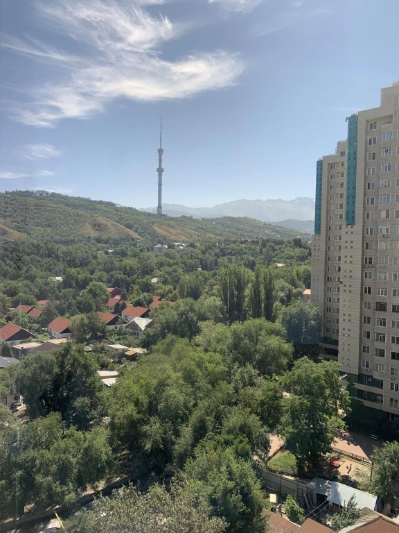 Almaty Apartments (Алматы Апартментс) на проспекте Достык 138 блок 2А