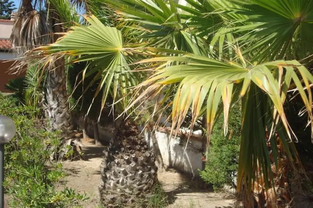 2 bedrooms house with enclosed garden and wifi at Santa Maria del Focallo