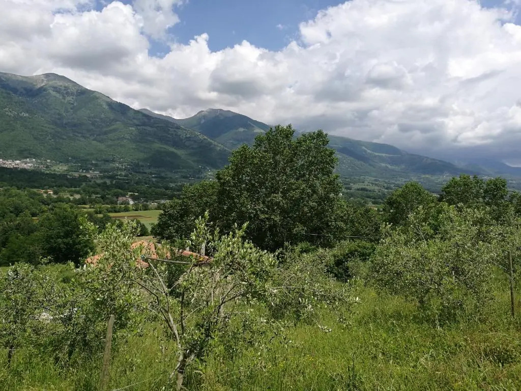 Tenuta Castelli