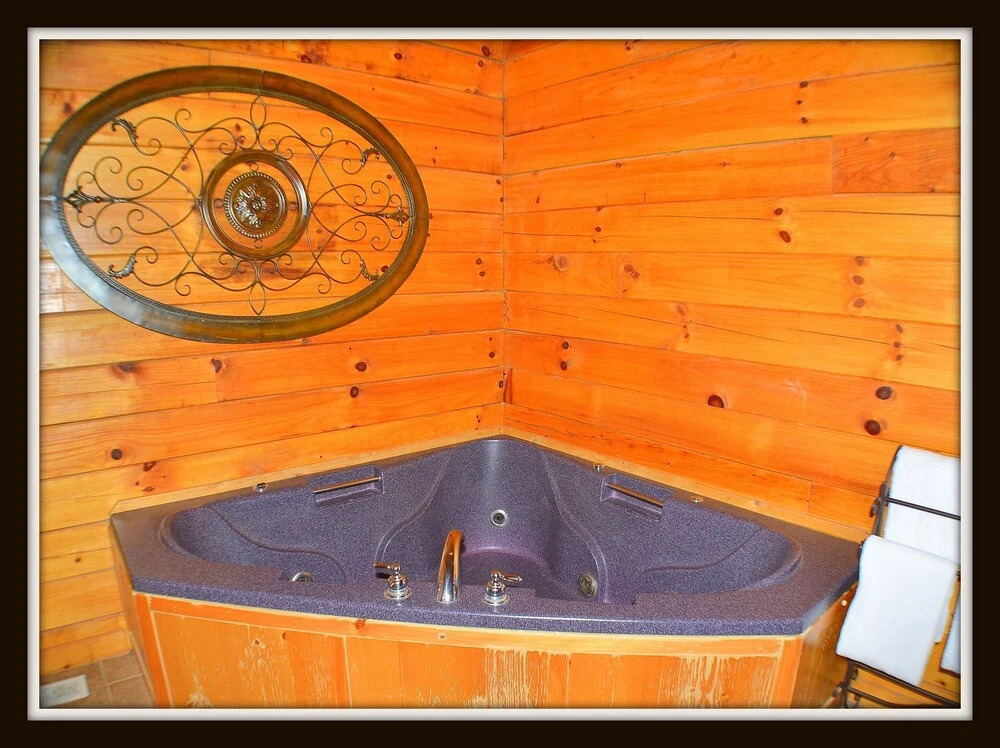 Priscilla Heights Lane Cabin 3203 - 1 Br cabin by RedAwning