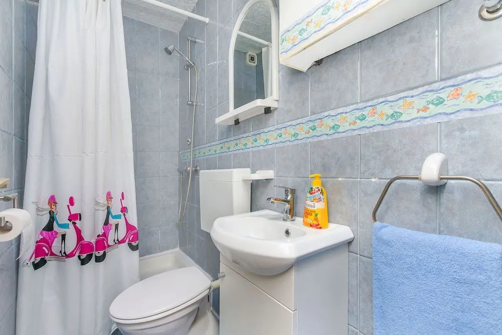 Apartment and Rooms Tatijana