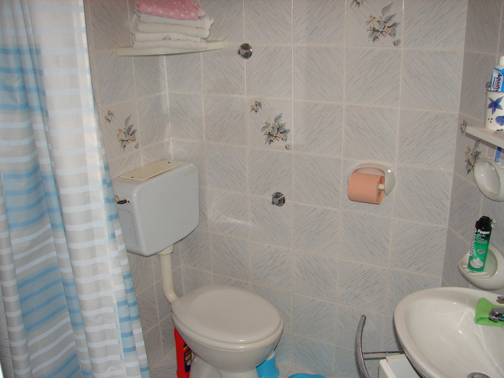 Apartment Roza - 200 m from sea : A1 Baska Voda, Riviera Makarska