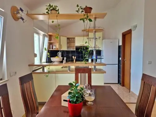 Apartments Gajo