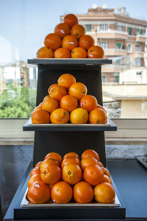 J Maluni City Hotel