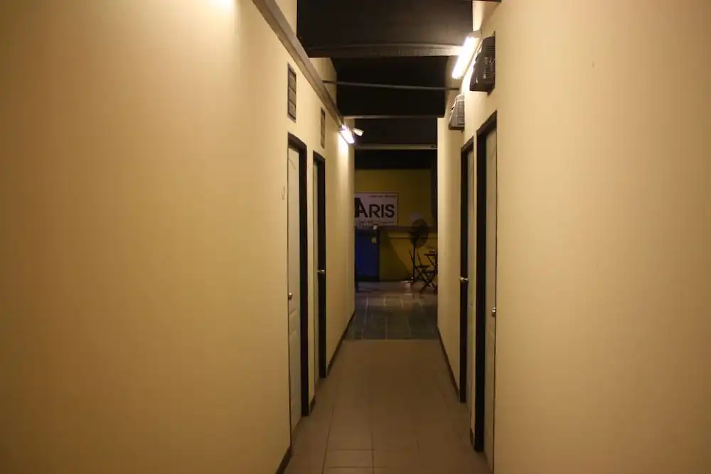 The Aris