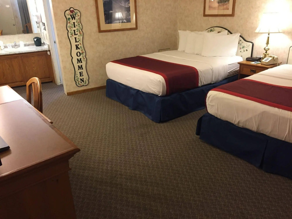 Swiss Alps Inn