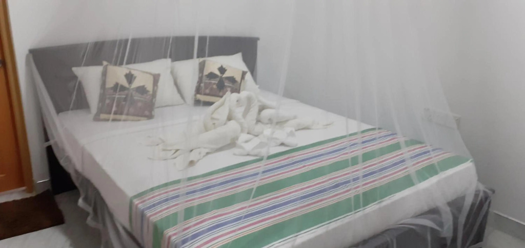 Nature Night Homestay