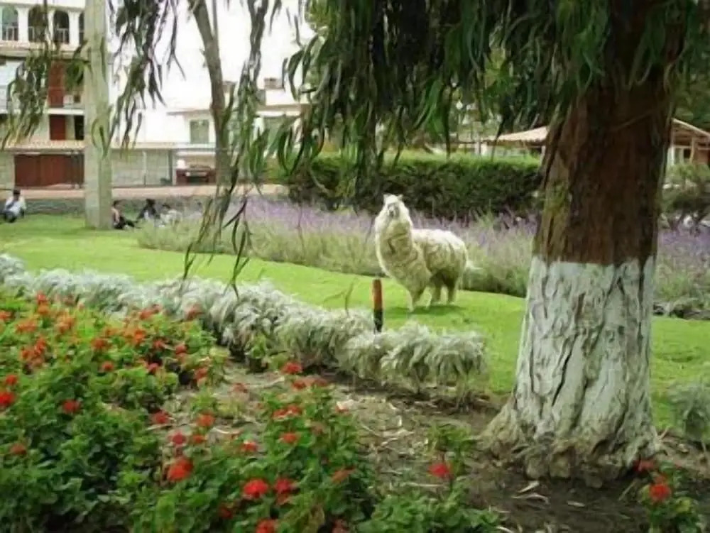 Hotel Benavides
