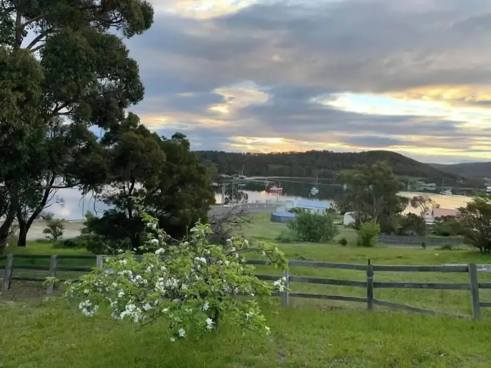 Blossoms on the Bay - 4 Bedrooms