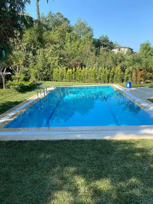 Villa Grande Albero