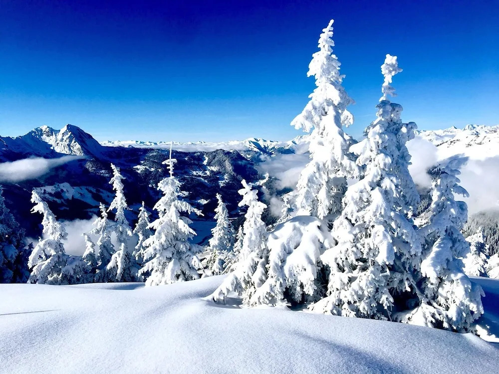 Cozy Chalet With Amazing Mountain Views Ski-in, Ski-out, Trailheads