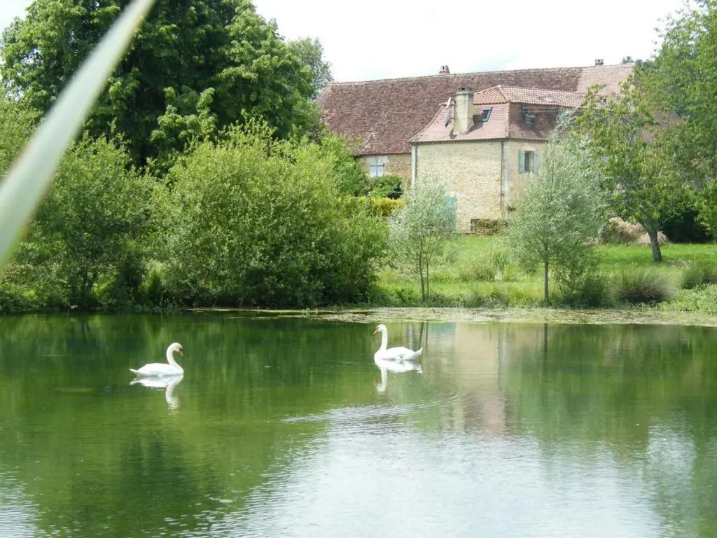 Gîte Limeuil, 5 pièces, 7 personnes - FR-1-616-137