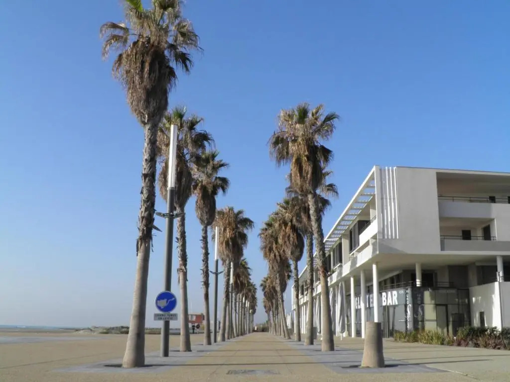 Appartement Sète, 1 pièce, 4 personnes - FR-1-338-324