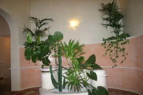 IL CASTELLO HOSTEL BOUTIQUE