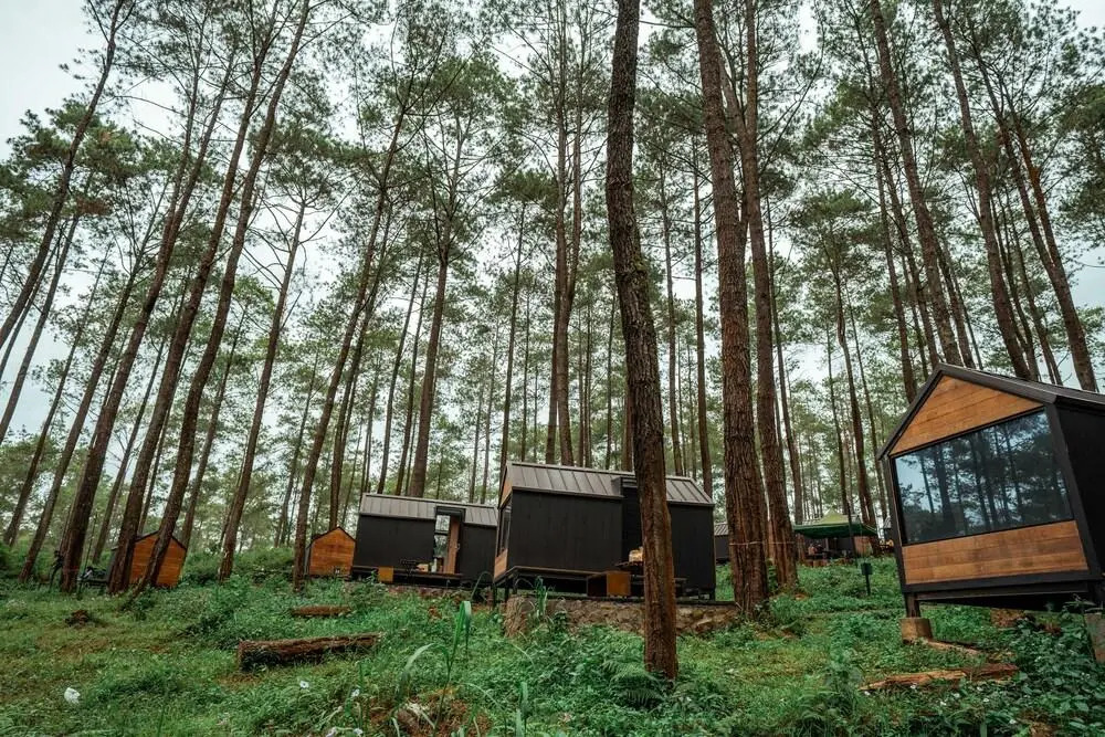 Bobocabin Gunung Mas