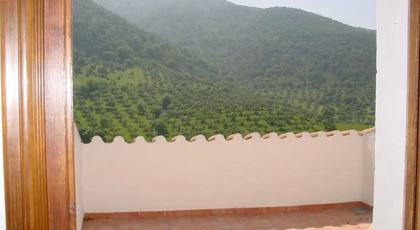 El Abejaruco