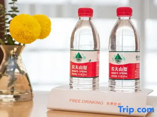 Vienna Hotel(Xincheng International Store)