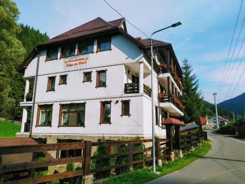 Casa cu flori