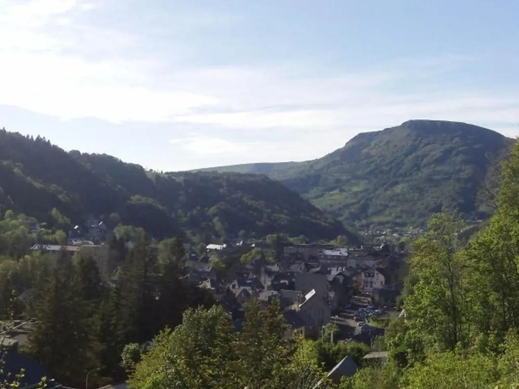 Appartement Mont-Dore, 1 pièce, 4 personnes - FR-1-415-54