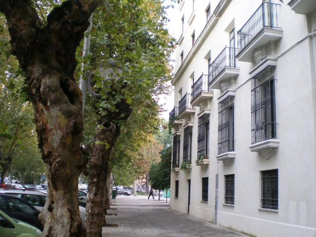 Apartamentos Murallas de Sevilla