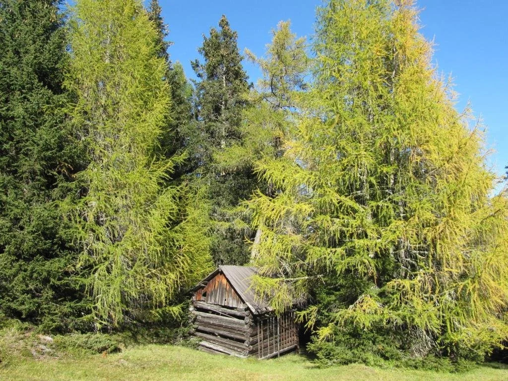 Pepis Ferienwohnungen inklusive Sommercard